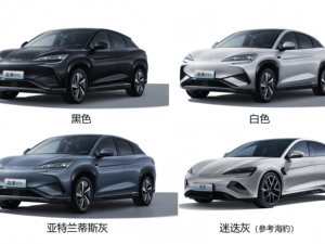 Xe tay phải BYD sealion 7 thẩm mỹ biển - Product Image 3