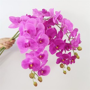 Orchidée Papillon à 7 Têtes en Film, Décoration Florale, Plante Décorative, Fleurs Artificielles - Product Image 1
