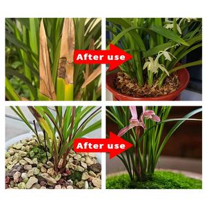 <span class=keywords><strong>Fertilizante</strong></span> Específico para Orquídeas, <span class=keywords><strong>Fertilizante</strong></span> Orgánico para Orquídeas, <span class=keywords><strong>Fertilizante</strong></span> Orgánico Soluble en Agua - Product Image 3