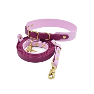 <b>Pet</b> Collar And <b>Leash</b> Set Lightweight Outdoor Dog Walking Classic Style Customizable With Logo Printing - Product Image 4