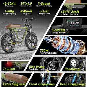 Bicicleta Eléctrica de Montaña RX-T10 de 20 Pulgadas con Doble Suspensión, Neumáticos Anchos, Cuadro de Aluminio, Frenos de Disco, Bicicleta Todoterreno - Product Image 5