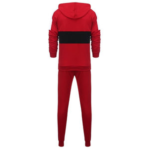 Vente en gros directe usine – Survêtement décontracté à capuche en coton, léger, grande taille, couleurs et designs personnalisés, idéal pour l'hiver - Product Image 1