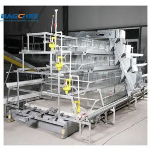 Factory Price Poultry A Type Layer For Chicken With 120/160 Chickens