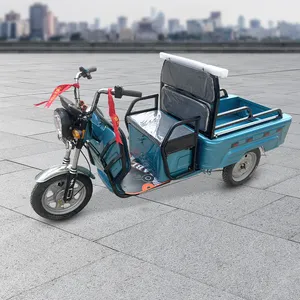 Livraison de cargaison Tricycles électriques à 3 roues Scooter électrique à trois roues cargo 1000W EEC tricycle électrique