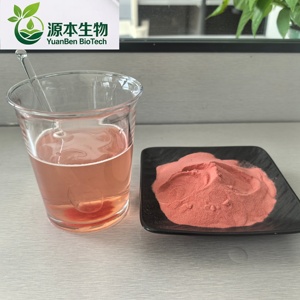Il Produttore Fornisce Polvere di Succo di Fragola di Alta Qualità e Salutare. - Product Image 4