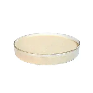 Offre d'usine en Chine <span class=keywords><strong>de</strong></span> <span class=keywords><strong>levure</strong></span> <span class=keywords><strong>de</strong></span> <span class=keywords><strong>bière</strong></span> séchée <span class=keywords><strong>inactive</strong></span> à bas prix pour l'alimentation animale - Product Image 2