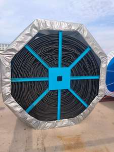 Nastro Trasportatore a Cinghia in Acciaio Inox e Gomma, Regolabile in Velocità, per Industria Alimentare e Manifatturiera, Economico e Resistente - Product Image 1