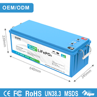 Batterie LiFePO4 intelligente pour camping-car OEM 24V 314Ah 8038Wh, compatible Victron Cerbo GX, CAN Bus RS485, batterie lithium à cycle profond