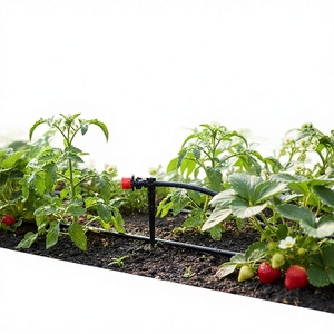 DAYU - Juego de Riego por Goteo Automático Transfronterizo de 40 m, Color Negro, <span class=keywords><strong>para</strong></span> Riego Agrícola y de <span class=keywords><strong>Jardines</strong></span> - Product Image 1