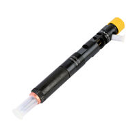 28232251 Nouvelle buse d'injecteur de carburant diesel Common Rail de haute qualité I 166001137R EJBR03101D EJBR05102D pour camion et excavatrice