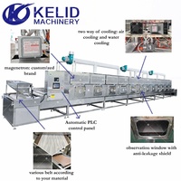 Machine de stérilisation par micro-ondes industrielle efficace pour la poudre de feuilles de Moringa, de qualité alimentaire CE, en acier inoxydable SUS304, avec contrôle PLC