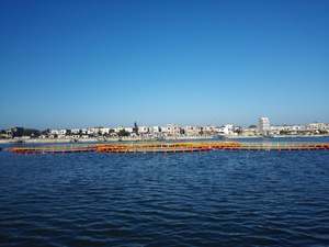 Jaula Circular Resistente al Viento para Cultivo de Peces, Juego Completo de Jaula de Red Flotante para Acuicultura en Alta Mar - Product Image 4