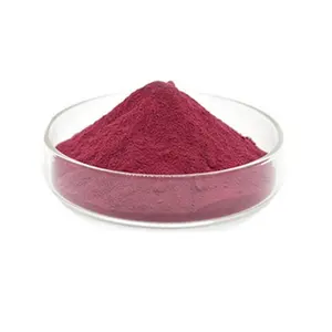 Zwarte Fruitbloem Trekt Fruitpoeder 99% Instant-En Groentepoederboom Aroniapowder Wilde Kersenbessenfruit