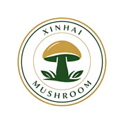 Xinhai Holding Group Limited logo