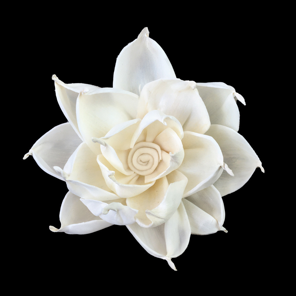 Gardénia blanc 8cm-s639b08n