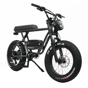 Dynalion 48v 1000w胖轮胎Ebike E自行车自行车低价辅助自行车电动自行车出售