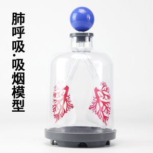 Modèle d'hernie pulmonaire, équipement expérimental avec fonction de simulation de fumée et simulateur de mouvement du diaphragme (collège) - Product Image 4