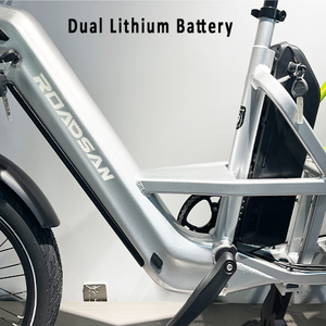 Vélo électrique <span class=keywords><strong>cargo</strong></span> pour adultes, moteur sans balais 750W, batterie au lithium, cadre en alliage d'aluminium, autonomie de 80 km, pour hommes et femmes, voyages en plein air - Product Image 4