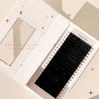 0.5 Mega Volume Lash Eyelash Extension 4D Lash Trays Vente en gros Propre Marque Cils Extension Cachemire Lash Extensions Jet Black