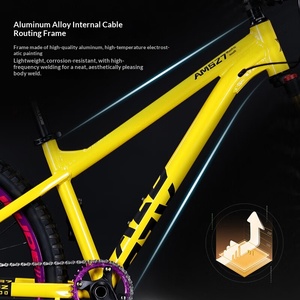 Vélo de montagne tout-terrain en alliage d'aluminium AM Dirt Jump, frein à disque double, cadre rigide, unisexe, pour jeunes et étudiants - Product Image 2