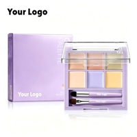 Palette de Correcteurs Multi-Couleurs Maquillage Marque Privée OEM Vente en Gros Palette de Maquillage Correctrice de Couleur et de Contour