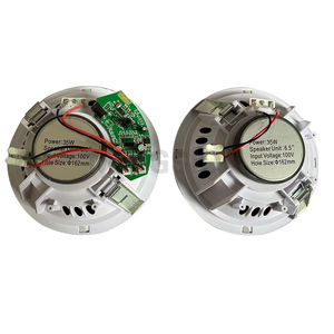 Altavoz de Techo Activo de 2.0 Canales HiFi de 10W y 6 Pulgadas con Módulo Amplificador de Potencia <span class=keywords><strong>Digital</strong></span> Integrado para Cine en Casa 70/100V Portátil - Product Image 4