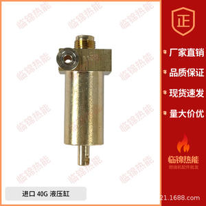 Cylindres hydrauliques série Riello 40G Modèles 40G3 40G5 40G10 40G20 Cylindre amortisseur - Product Image 5