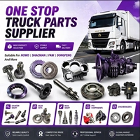 WG2210030325/WG2210030227 Engrenage de transmission d'essieu auxiliaire pour camions Howo A7 et Weichai