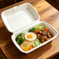 Boîte à lunch jetable en bagasse de 16 pouces avec couvercle, récipient alimentaire en canne à sucre biodégradable et micro-ondable pour restaurant et pique-nique