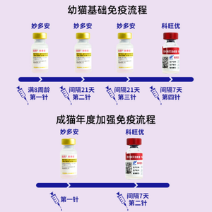 วัคซีนสำหรับ<span class=keywords><strong>แมว</strong></span>: Mydovax Cevas Myou-S Zoetis PureVax - สำหรับป้องกันโรคหวัดไวรัสในแมวและโรค<span class=keywords><strong>หลอดลม</strong></span><span class=keywords><strong>อักเสบ</strong></span>ใน<span class=keywords><strong>แมว</strong></span> - Product Image 5