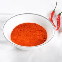 Spices Factory Supplier HALAL Bbq Spices Hot Spicy Chicken Marinade Powder