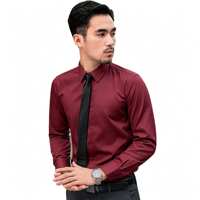 Chemise décontractée haut de gamme pour homme en popeline d'automne, sans repassage, respirante, écologique, à manches longues, col rabattu, avec logo brodé