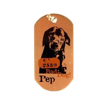 Fashion Magnetic Dog Tag with Chain