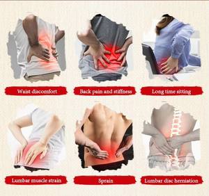 Soporte de columna Lumbar a base de hierbas chinas personalizable ajenjo Natural analgésico cintura yeso cuidado de la salud <span class=keywords><strong>lumbago</strong></span> de espalda para el cuidado - Product Image 3