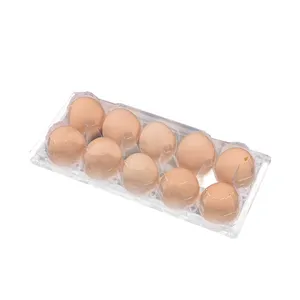 Plastic Egg Crate Wholesale Disposable PET Transparent Plastic Egg Crate / Box With 12 Cells