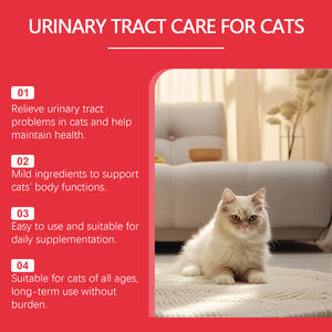 Complément alimentaire pour animaux de compagnie favorisant l'absorption des nutriments <span class=keywords><strong>et</strong></span> soulageant l'inconfort des chats <span class=keywords><strong>et</strong></span> des chiens - Product Image 2