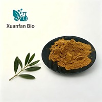 Liposomal Oleuropein 10%~40% Laris Manis, Ekstrak Daun Zaitun Bubuk, Bubuk Ekstrak Zaitun