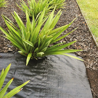 Mat Anti Gulma Anyaman PP Ukuran Kustom Grosir Cina 90GSM--120GSM Penutup Tanah Berkebun Mat Anti Gulma Lanskap