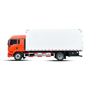 Vente chaude HOWO Marque EURO VI 10T Nouveau Cargo Truck Van Truck Cargo Truck Avec Volant Multifonctionnel
