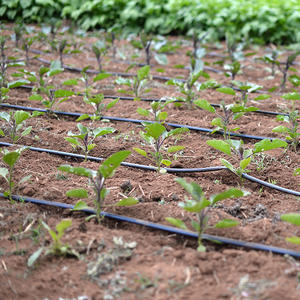 1 Hectare Agrícola Farmland Sistema de Irrigação por Gotejamento Kit Completo 16mm Inner Flat Emitter Double Holes Layflat Mangueira Drip Tape - Product Image 1