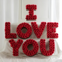 Produk Baru Hadiah Hari Valentine Bunga Abadi Infinity Venus Fleur Forever I LOVE U Kotak Mawar Awet