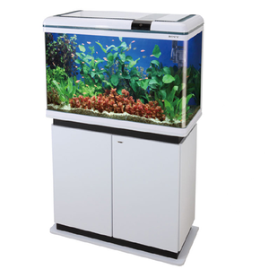 Sistema de Control de Agua Multicanal Hattrol XF-80 Productos para Mascotas con Gabinete, Sombrero para <span class=keywords><strong>el</strong></span> <span class=keywords><strong>Sol</strong></span>, Tocado, Decoración del Hogar, Acuarios de Vidrio 18W - Product Image 1