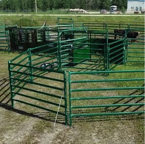 Recinzione per Bestiame, Pannelli per Recinzione di Bovini, Ovini e Cavalli, Pannelli Zincati per Pascoli a Prezzo di Fabbrica - Product Image 3