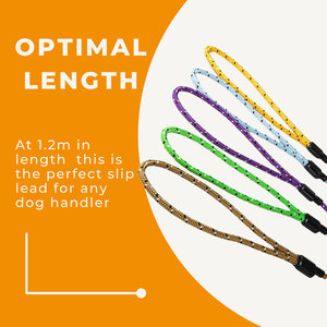 स्लिप लीश एंटी-ट्विट एंटी-टांगल स्विचवेल लेश 1.2 मीटर हल्के लचीले 5 मिमी ब्रेड रस्सी सीसा - Product Image 3