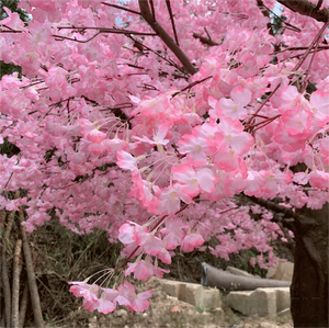 Arbre à fleurs de cerisier artificiel de 250 cm, fait main, très vendu, en PU, écologique, résistant aux UV, <span class=keywords><strong>d</strong></span>écoration intérieure pour <span class=keywords><strong>chambre</strong></span> à coucher - Product Image 6