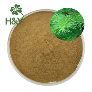 Natural herb extract pine needle straight powder pine needle powder