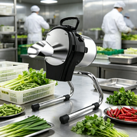 Máquina Cortadora de Vegetales Mini para Uso en Catering, para Cortar Puerro, Chile, Apio y Perejil, Equipo de Procesamiento de Alimentos