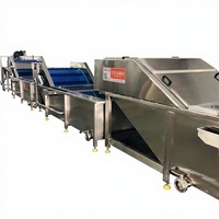 ZHONGNUO Machine de Blanchiment et de Pasteurisation Automatique pour Maïs Doux Frais, Fruits et Légumes, Stérilisateur Alimentaire à Vapeur SUS30408 de 8m