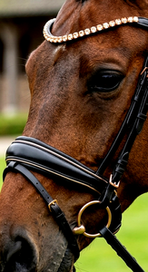 Brida Premium HM Global Equestrian con ceñidor de cuero DD de vaca suave de 10 mm y frontal de cuero con cristales Arena para salto GP Full Cob - Product Image 2