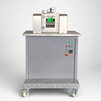 Machine de granulation de plastique, laboratoire, moulin à deux rouleaux ouvert, ligne de production pilote pour le mélange et la granulation de feuilles de mousse EVA, CE